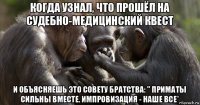 когда узнал, что прошёл на судебно-медицинский квест и объясняешь это совету братства: " приматы сильны вместе. импровизация - наше все*