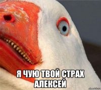  я чую твой страх алексей