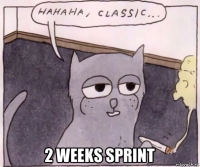  2 weeks sprint