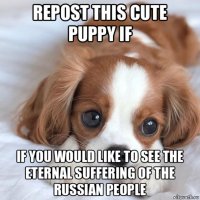repost this cute puppy if if you would like to see the eternal suffering of the russian people