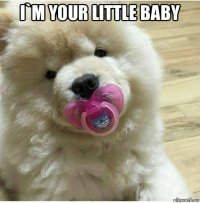 i`m your little baby 