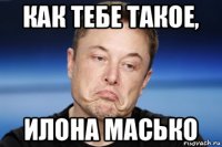 как тебе такое, илона масько