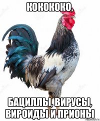 кокококо, бациллы, вирусы, вироиды и прионы