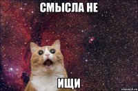 смысла не ищи