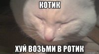 котик хуй возьми в ротик