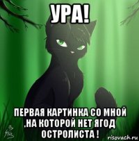 ура! первая картинка со мной ,на которой нет ягод остролиста !