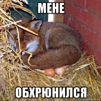 мене обхрюнился