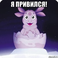 я привился! 