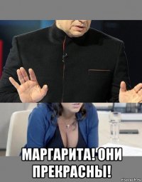  маргарита! они прекрасны!