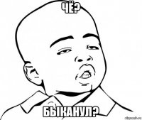 чё? быканул?