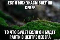 если мох указывает на север то что будет если он будет расти в центре севера