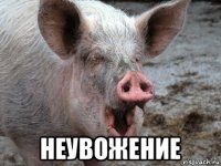  неувожение