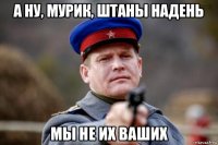 а ну, мурик, штаны надень мы не их ваших