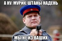 а ну, мурик, штаны надень мы не из ваших