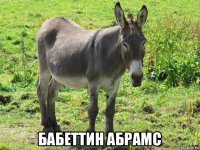  бабеттин абрамс