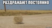 раздражают постоянно 