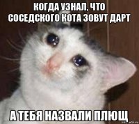 когда узнал, что соседского кота зовут дарт а тебя назвали плющ
