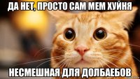 да нет, просто сам мем хуйня несмешная для долбаебов