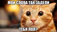 мои слова так задели тебя лол?