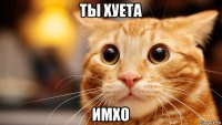 ты хуета имхо