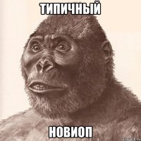 типичный новиоп