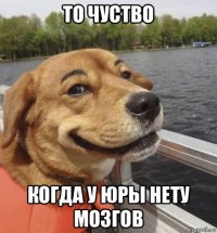 то чуство когда у юры нету мозгов