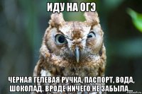 иду на огэ черная гелевая ручка, паспорт, вода, шоколад. вроде ничего не забыла...
