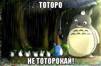 тоторо не тоторокай!