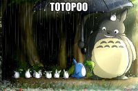 тотороо 