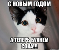 с новым годом а теперь бухнём сока!!!