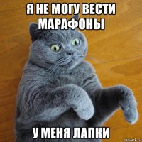 я не могу вести марафоны у меня лапки