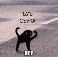  прр
