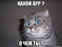 какой app ? о чем ты?