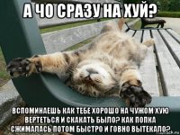 а чо сразу на хуй? вспоминаешь как тебе хорошо на чужом хую вертеться и скакать было? как попка сжималась потом быстро и говно вытекало?