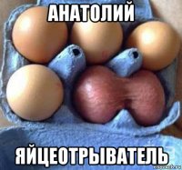 анатолий яйцеотрыватель