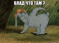 влад что там ? 