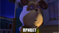  привет