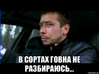  в сортах говна не разбираюсь...