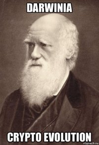 darwinia crypto evolution