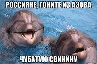 россияне, гоните из азова чубатую свинину