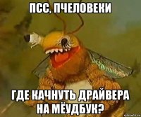 псс, пчеловеки где качнуть драйвера на мёудбук?