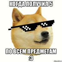 когда получил 5 по всем предметам :3
