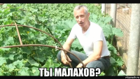  ты малахов?