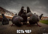  есть чо?