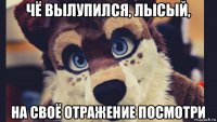 чё вылупился, лысый, на своё отражение посмотри