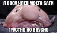 я сосу член моего бати грустно но вкусно