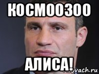 космоозоо алиса!