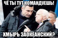 чё ты тут командуешь! хмырь заокеанский?