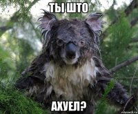 ты што ахуел?