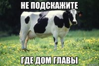 не подскажите где дом главы